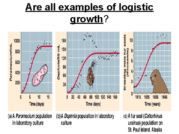 Are all examples of logistic growth? 