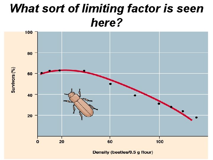 What sort of limiting factor is seen here? 