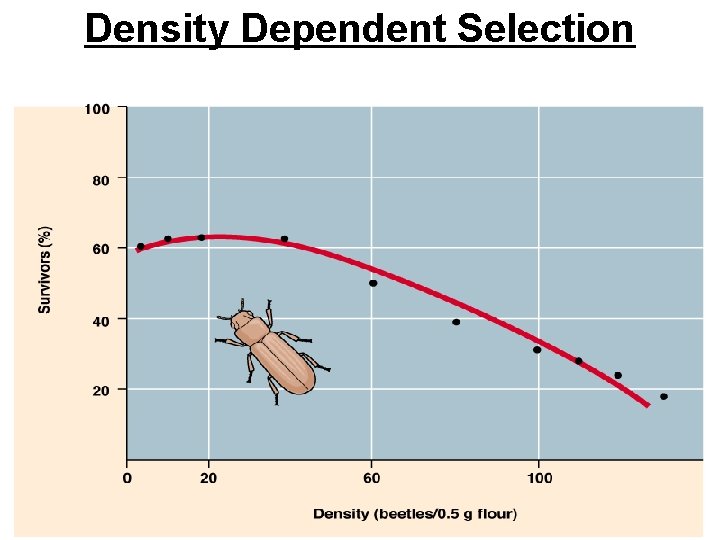 Density Dependent Selection 