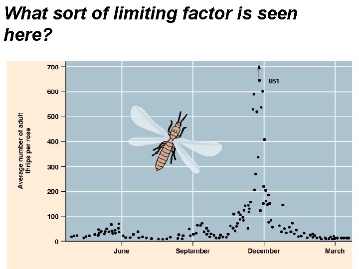 What sort of limiting factor is seen here? 