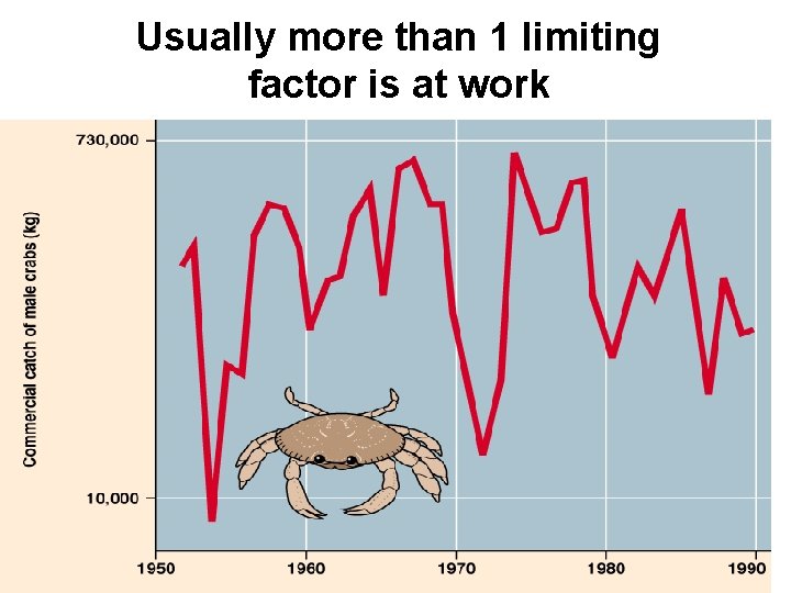 Usually more than 1 limiting factor is at work 