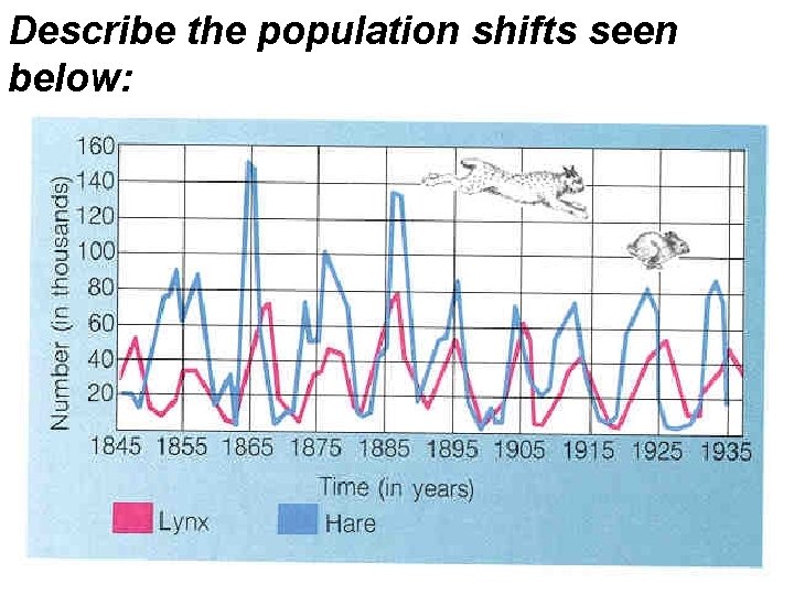 Describe the population shifts seen below: 