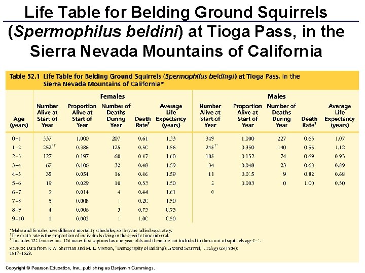 Life Table for Belding Ground Squirrels (Spermophilus beldini) at Tioga Pass, in the Sierra