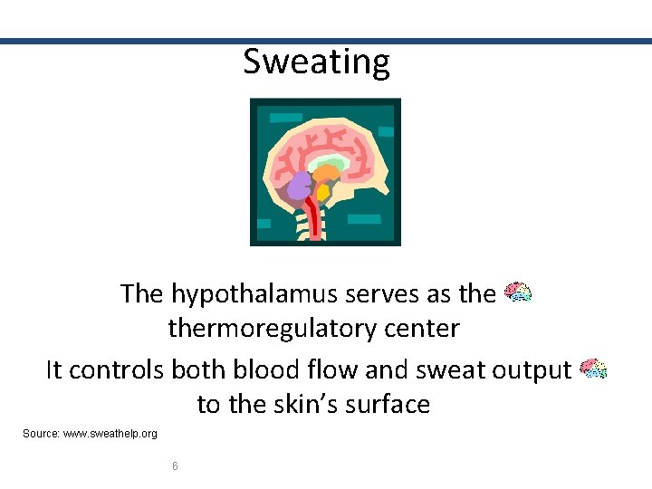 Sweating The hypothalamus serves as thermoregulatory center It controls both blood flow and sweat