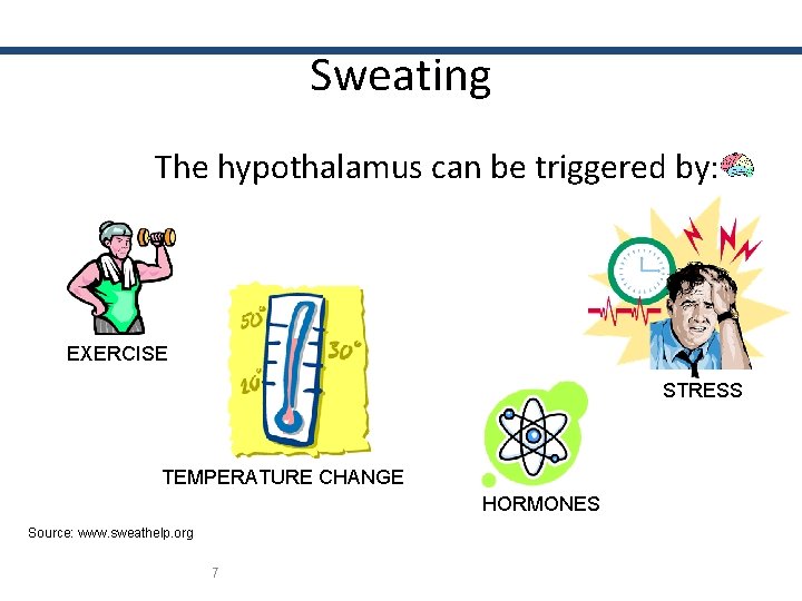 Sweating The hypothalamus can be triggered by: EXERCISE STRESS TEMPERATURE CHANGE HORMONES Source: www.