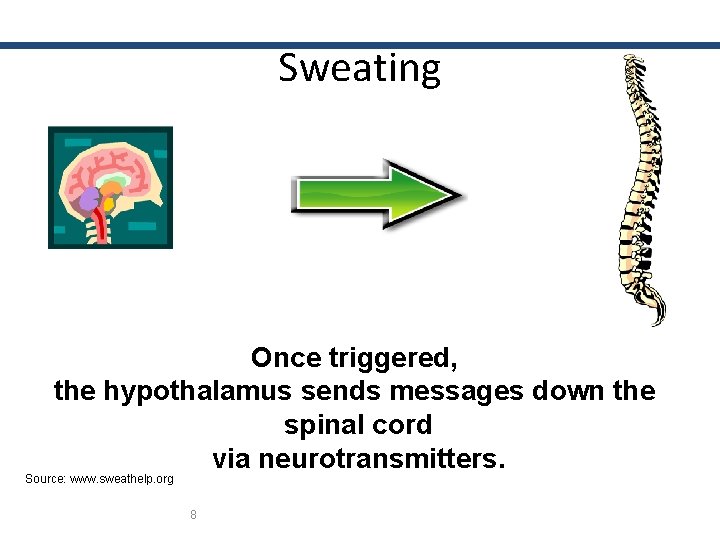 Sweating Once triggered, the hypothalamus sends messages down the spinal cord via neurotransmitters. Source: