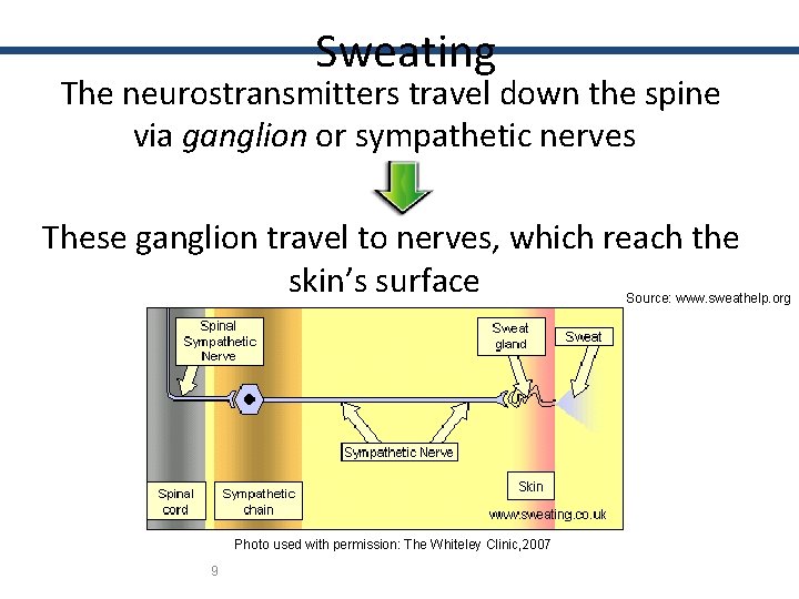 Sweating The neurostransmitters travel down the spine via ganglion or sympathetic nerves These ganglion