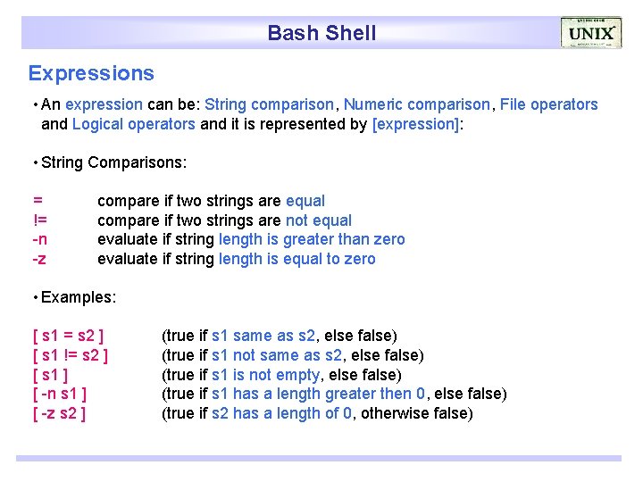 Bash Shell Expressions • An expression can be: String comparison, Numeric comparison, File operators