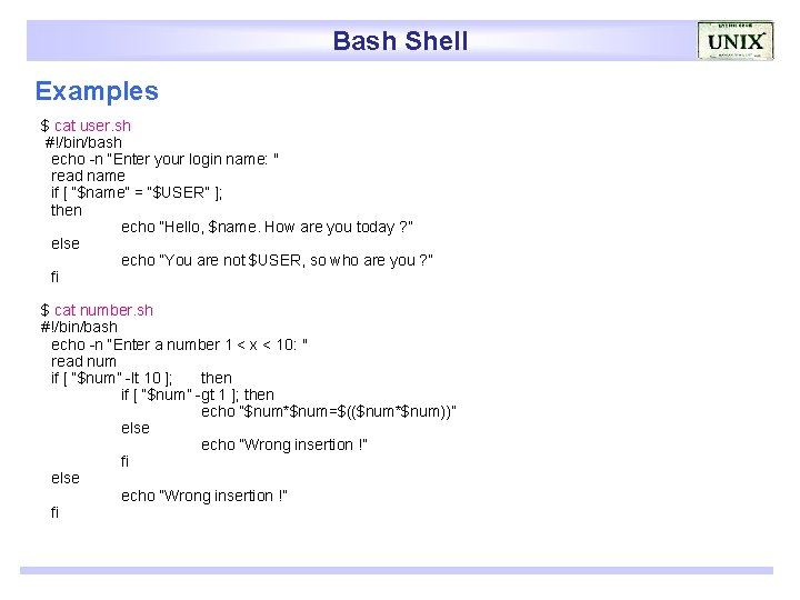 Bash Shell Examples $ cat user. sh #!/bin/bash echo -n “Enter your login name: