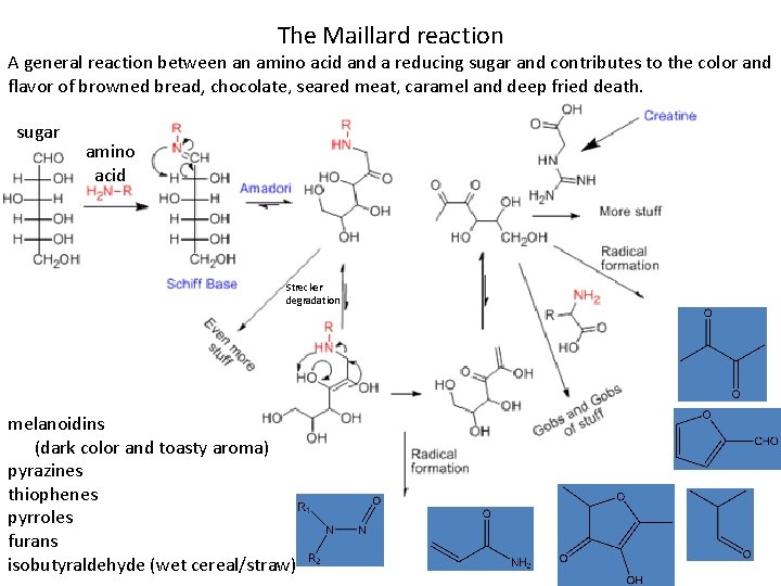 The Maillard reaction A general reaction between an amino acid and a reducing sugar