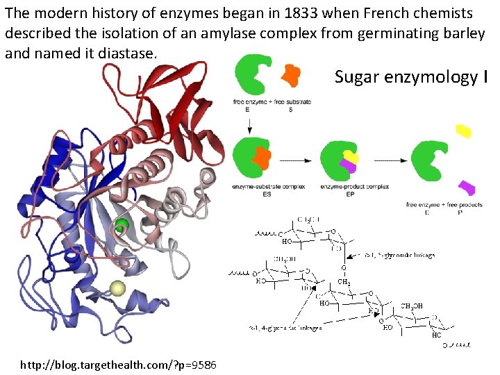 The modern history of enzymes began in 1833 when French chemists described the isolation