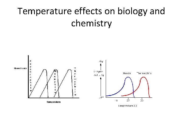 Temperature effects on biology and chemistry 