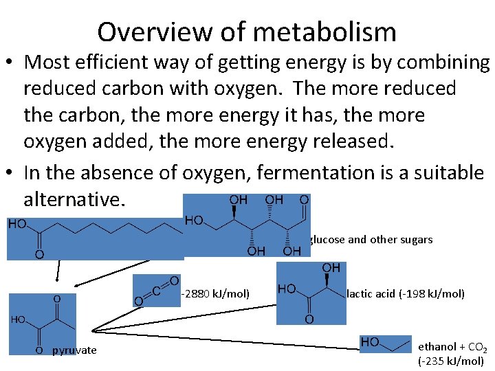 Overview of metabolism • Most efficient way of getting energy is by combining reduced
