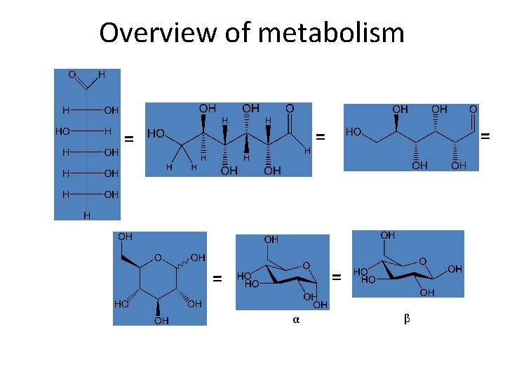 Overview of metabolism = = = α β 