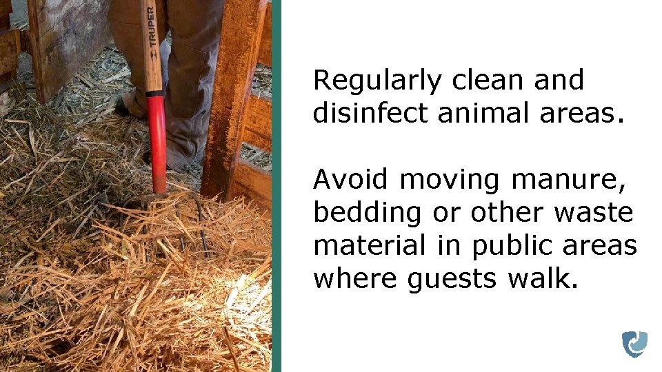 Regularly clean and disinfect animal areas. Avoid moving manure, bedding or other waste material