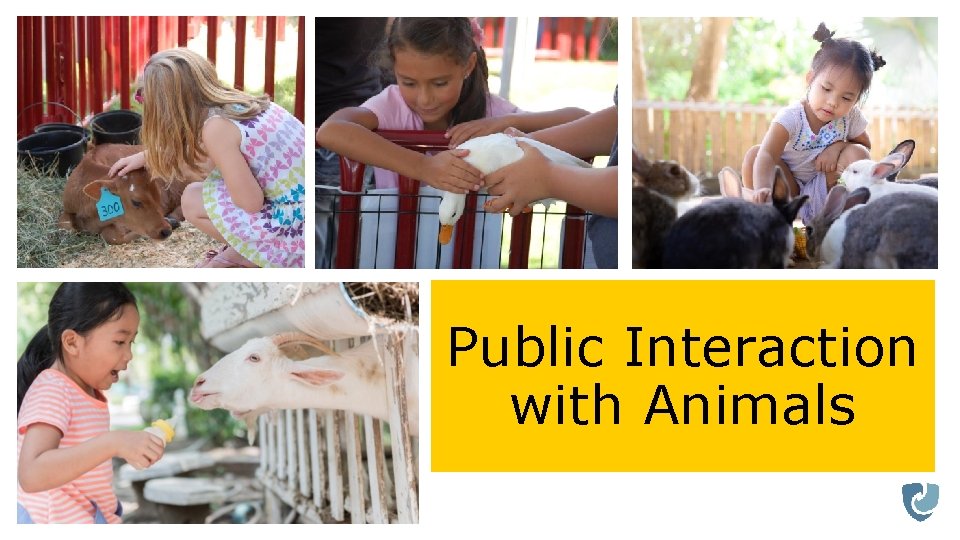 Public Interaction with Animals 