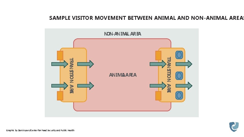 SAMPLE VISITOR MOVEMENT BETWEEN ANIMAL AND NON-ANIMAL AREAS NON-ANIM AL AREA A TRANSITION ARE
