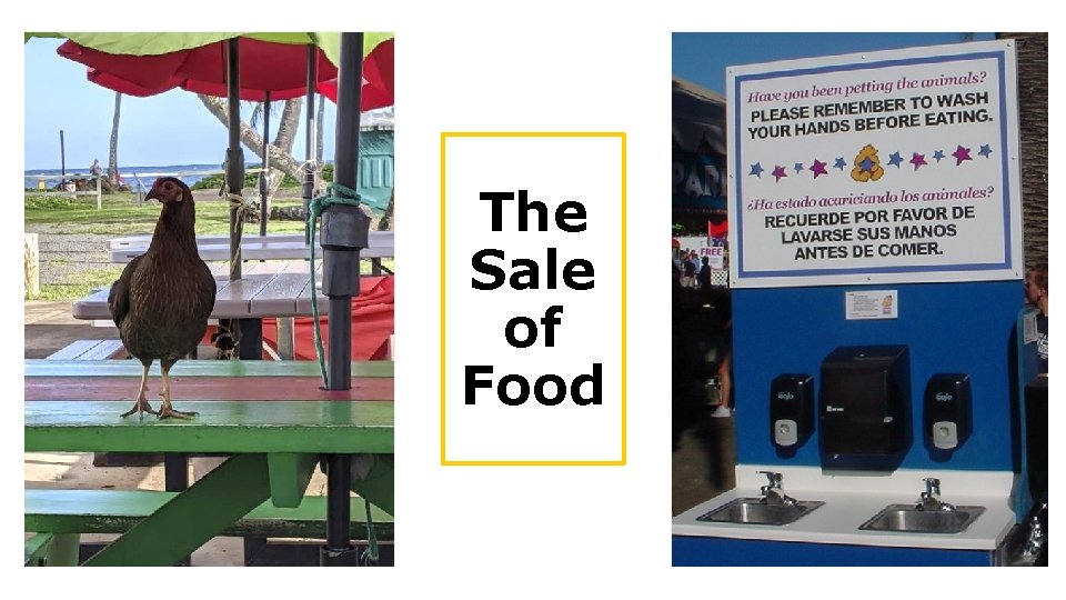 The Sale of Food 