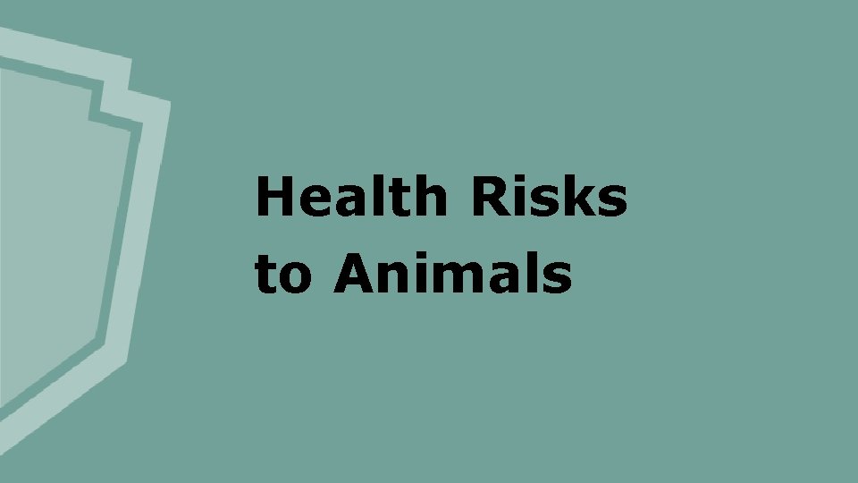 Health Risks to Animals 