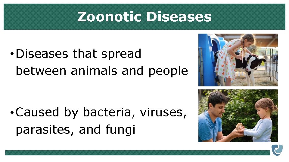 Zoonotic Diseases • Diseases that spread between animals and people • Caused by bacteria,