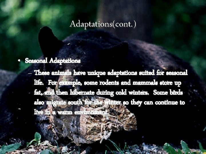Adaptations(cont. ) • Seasonal Adaptations – These animals have unique adaptations suited for seasonal