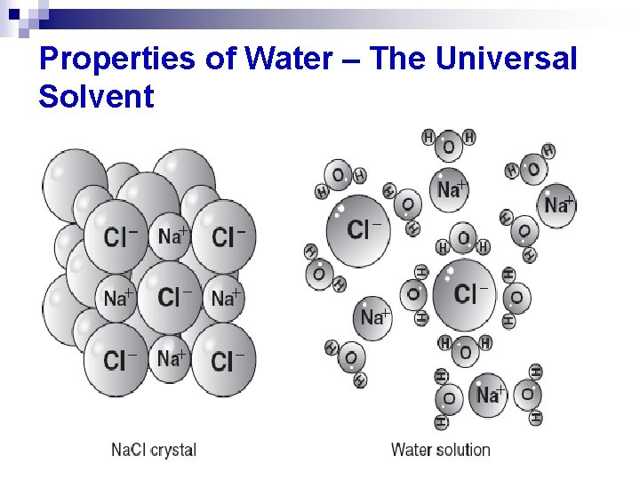 Properties of Water – The Universal Solvent 