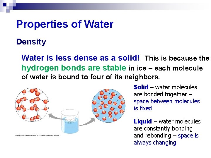 Properties of Water Density Water is less dense as a solid! This is because