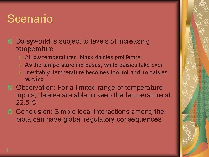 Scenario Daisyworld is subject to levels of increasing temperature At low temperatures, black daisies