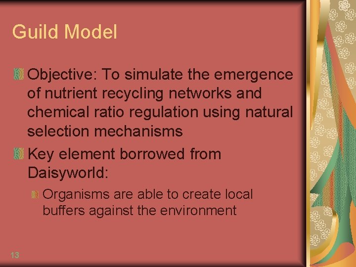 Guild Model Objective: To simulate the emergence of nutrient recycling networks and chemical ratio