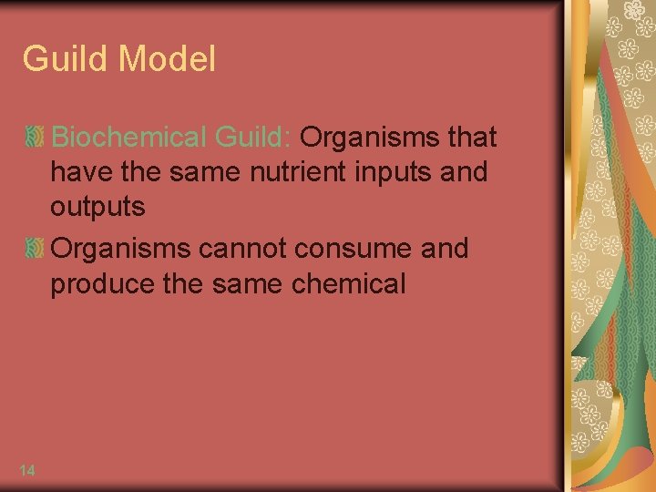 Guild Model Biochemical Guild: Organisms that have the same nutrient inputs and outputs Organisms