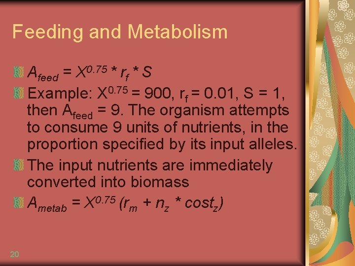 Feeding and Metabolism Afeed = X 0. 75 * rf * S Example: X