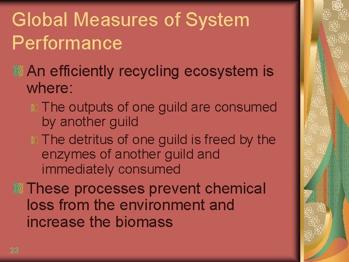 Global Measures of System Performance An efficiently recycling ecosystem is where: The outputs of