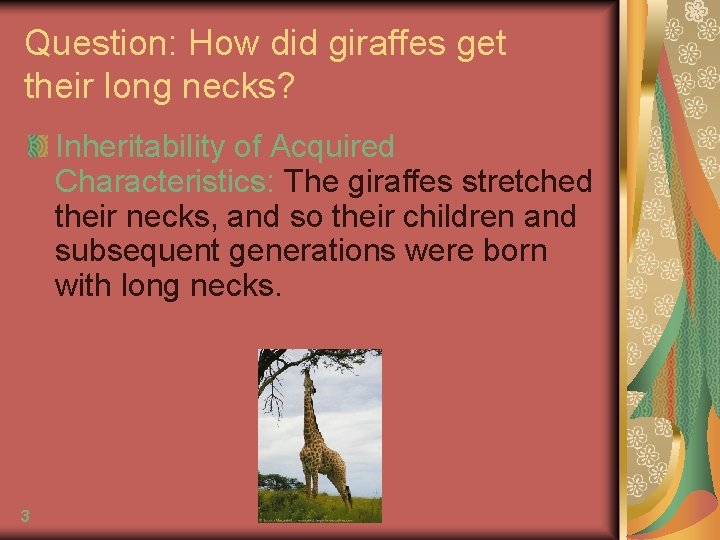 Question: How did giraffes get their long necks? Inheritability of Acquired Characteristics: The giraffes