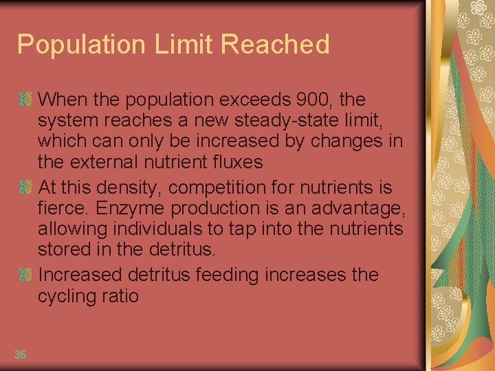 Population Limit Reached When the population exceeds 900, the system reaches a new steady-state