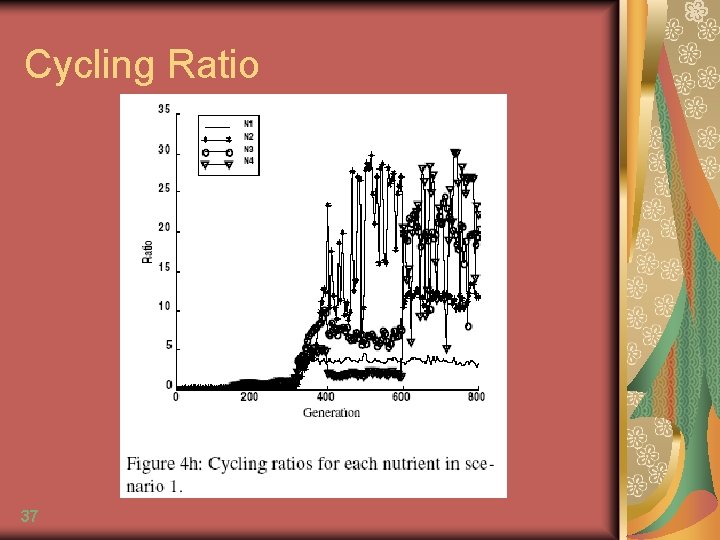 Cycling Ratio 37 