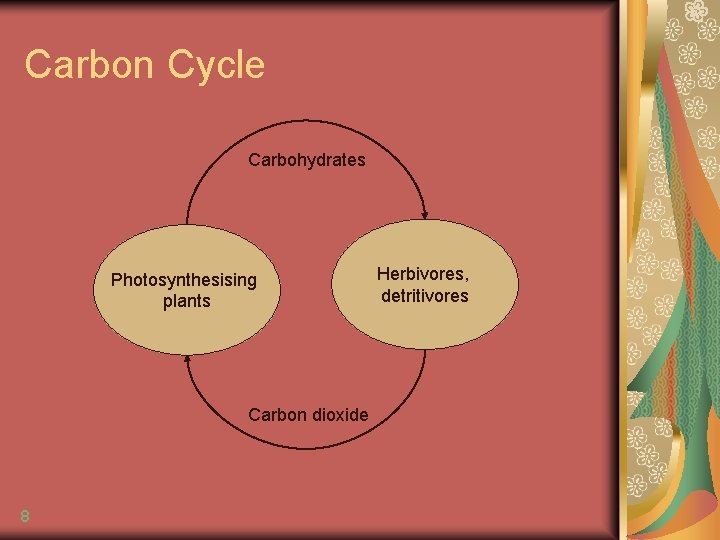 Carbon Cycle Carbohydrates Photosynthesising plants Carbon dioxide 8 Herbivores, detritivores 