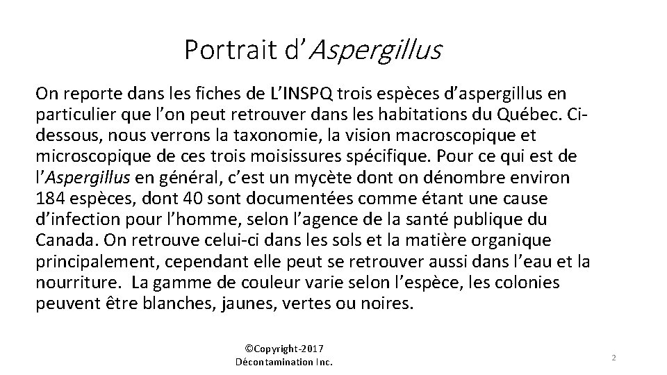 Portrait d’Aspergillus On reporte dans les fiches de L’INSPQ trois espèces d’aspergillus en particulier