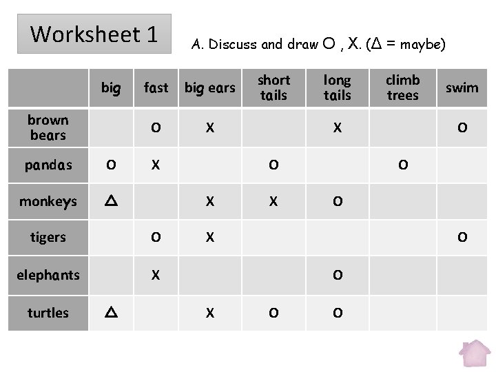 Worksheet 1 big brown bears pandas O monkeys △ fast big ears O X