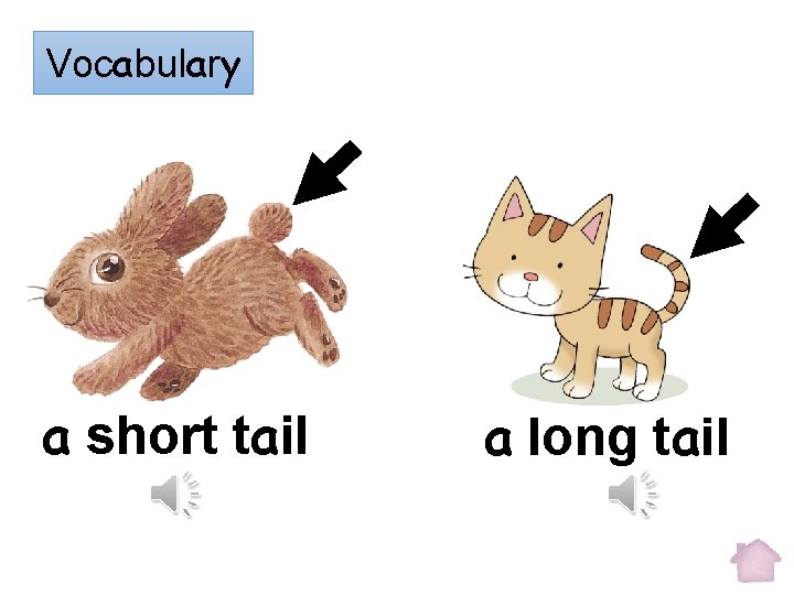 Vocabulary a short tail a long tail 