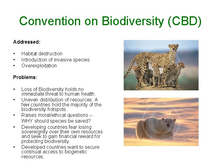 Convention on Biodiversity (CBD) Addressed: • • • Habitat destruction Introduction of invasive species