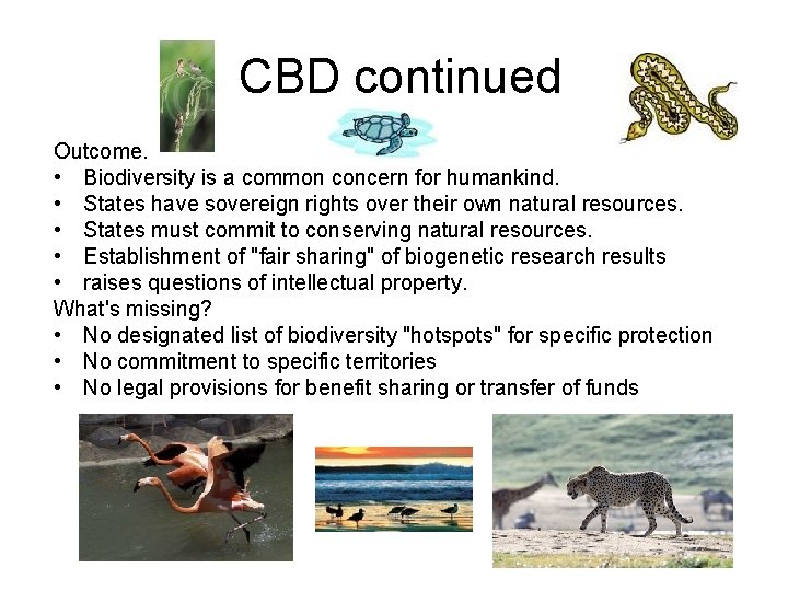 CBD continued Outcome: • Biodiversity is a common concern for humankind. • States have