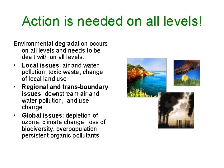Action is needed on all levels! Environmental degradation occurs on all levels and needs