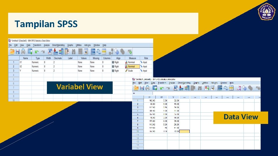 Tampilan SPSS Variabel View Data View 