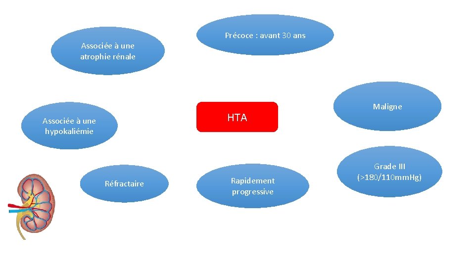 Associée à une atrophie rénale Précoce : avant 30 ans HTA Associée à une