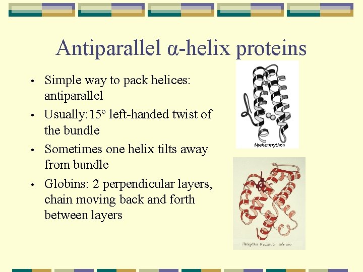 Antiparallel α-helix proteins • • Simple way to pack helices: antiparallel Usually: 15º left-handed
