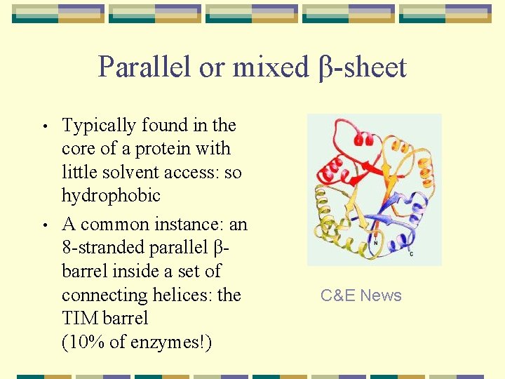 Parallel or mixed β-sheet • • Typically found in the core of a protein