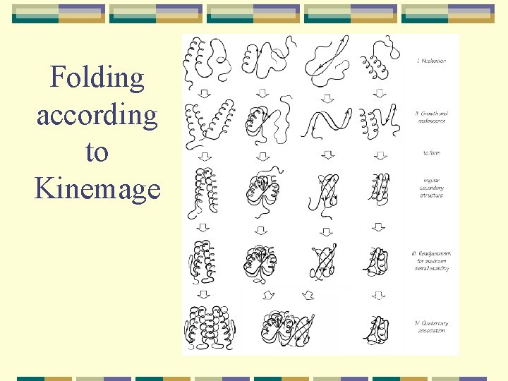 Folding according to Kinemage 