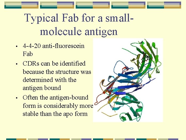 Typical Fab for a smallmolecule antigen • • • 4 -4 -20 anti-fluorescein Fab