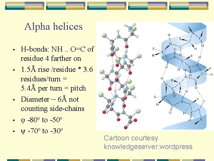 Alpha helices • • • H-bonds: NH. . O=C of residue 4 farther on