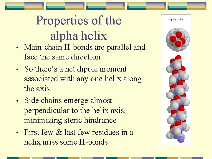 Properties of the alpha helix • • Main-chain H-bonds are parallel and face the